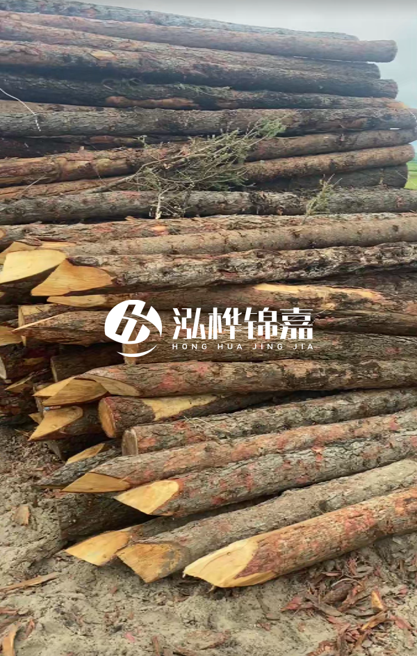 松木樁4米長(zhǎng)尾徑14厘米價(jià)格是多少？一立方米有多少根？