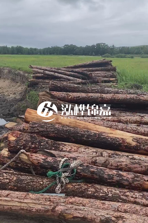 4米松木樁多少錢一根？松木樁預(yù)算單價(jià)怎么算的？