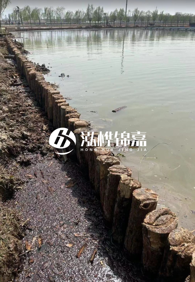 長(zhǎng)沙松木樁批發(fā)市場(chǎng)在哪？廠家地址是多少？