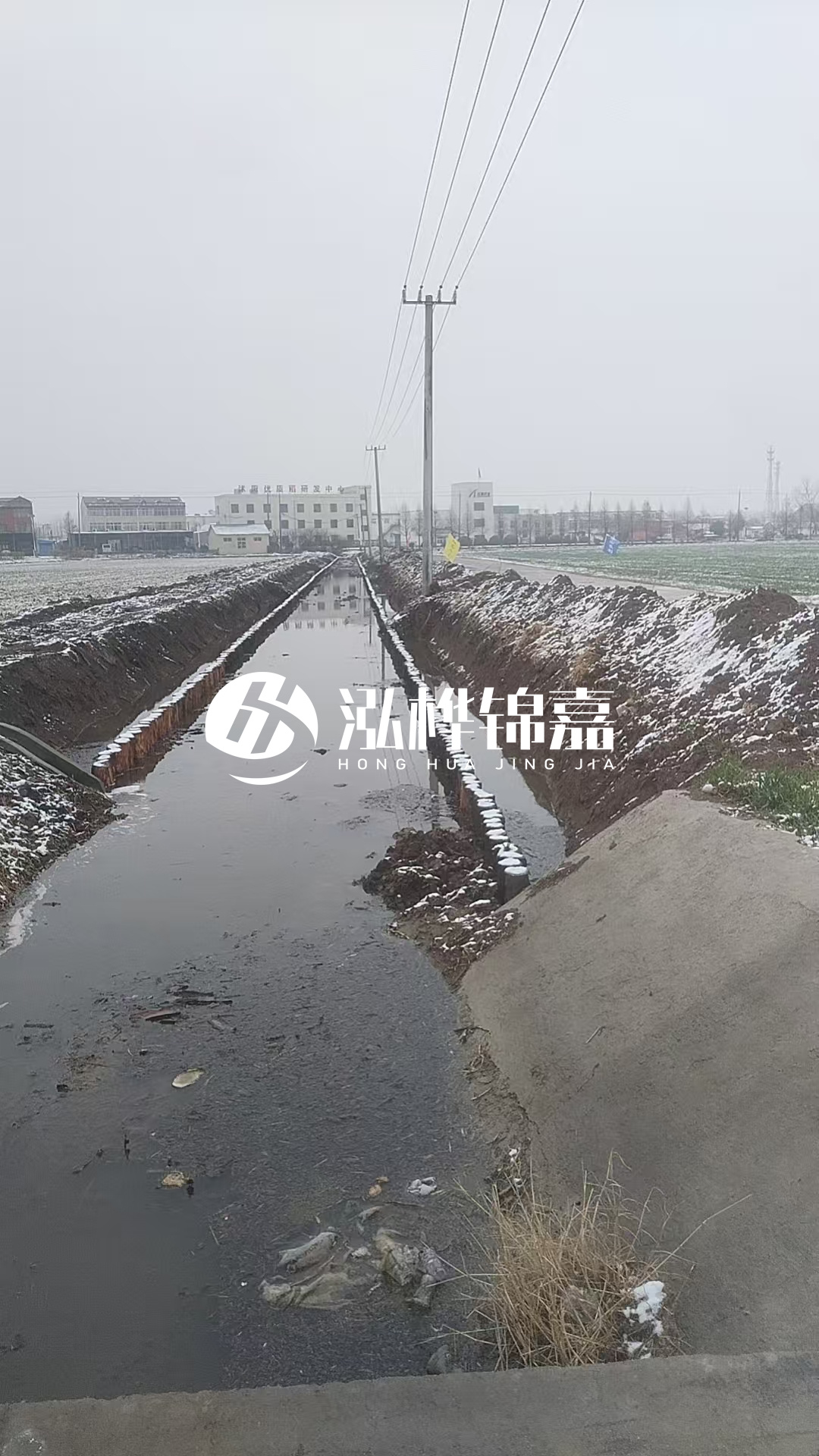 4米松木樁和杉木樁價格相差多少？哪個更便宜？