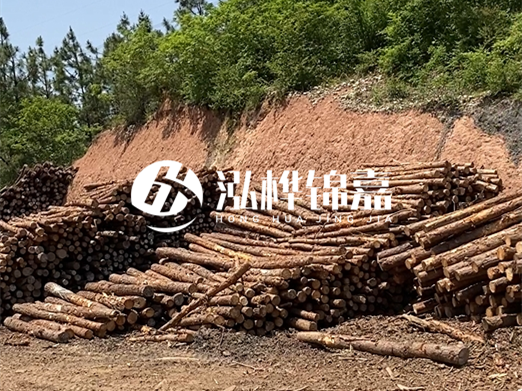 油松打樁木和落葉松打樁木的價格差異是多少？哪個性價比更高？