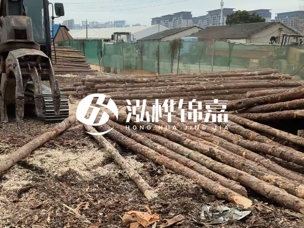 2 米長(zhǎng)度松木樁多少錢？松木樁 10 一 15 公分價(jià)格？