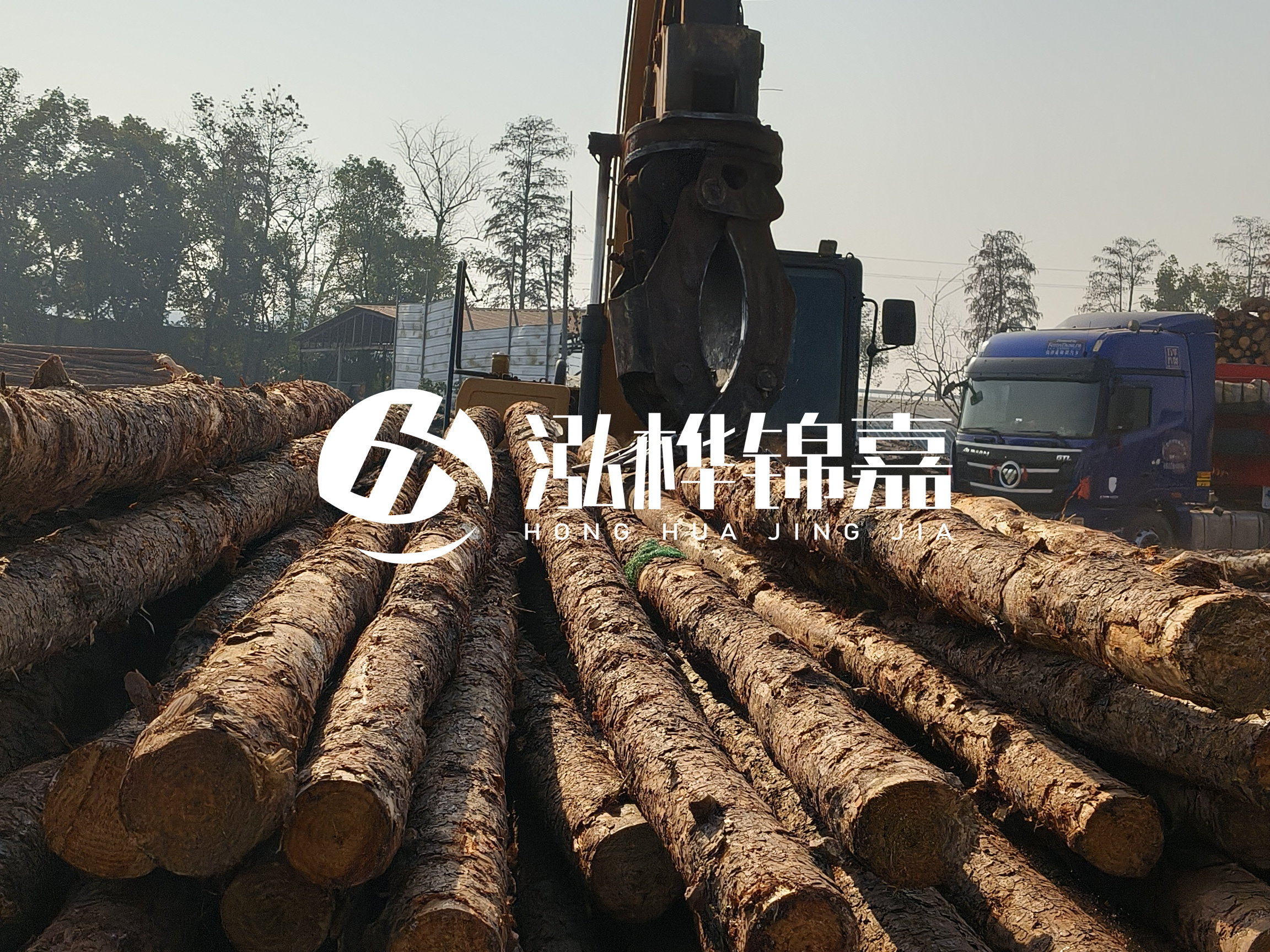 松木樁可以用來做什么？常用于哪些工程？