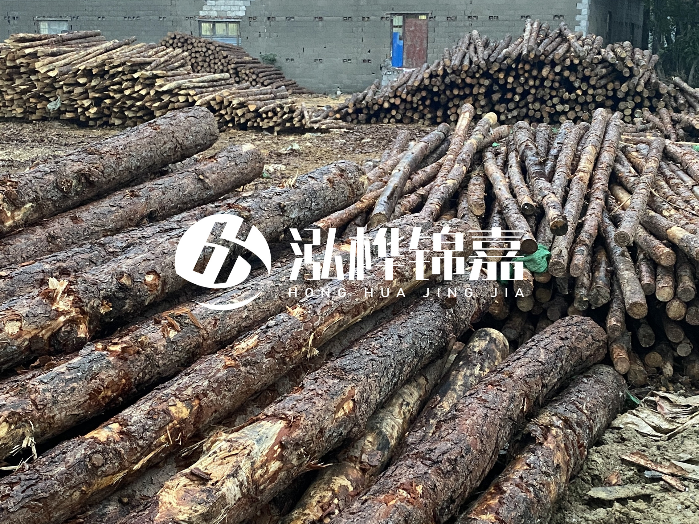 松木樁批發(fā)廠家泓樺錦嘉 - 河道松木樁如何選擇優(yōu)質(zhì)木材？