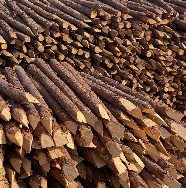 松木樁施工隊泓樺錦嘉 - 河道駁岸樁的檢測標(biāo)準(zhǔn)是什么？