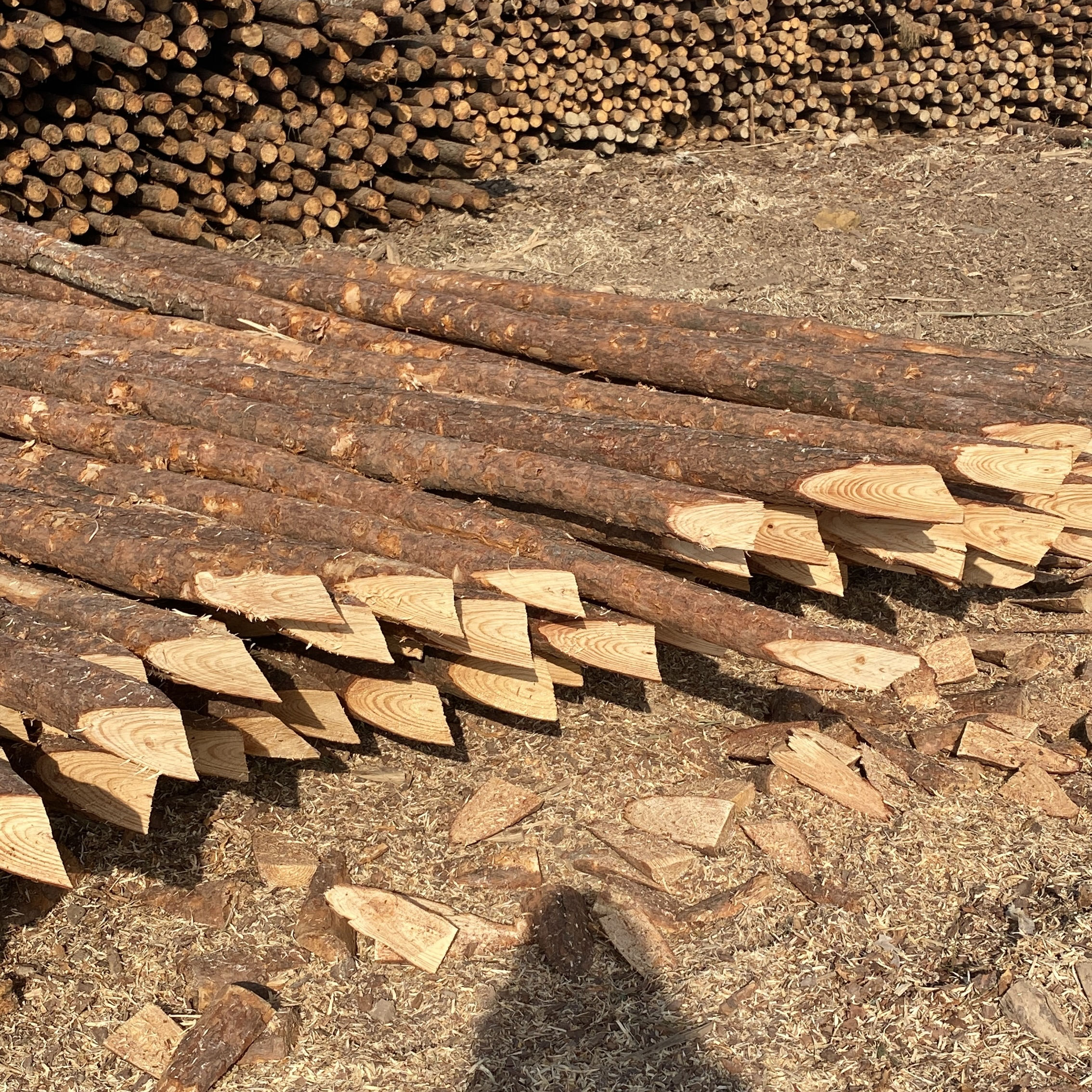 松木樁施工隊泓樺錦嘉-樁與樁之間的距離要求？